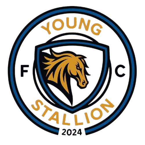 youngstallionfc.ci